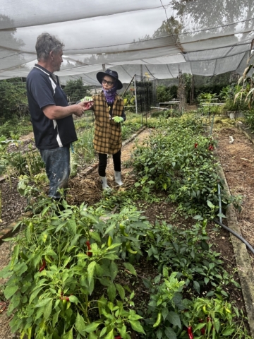 Peter and Yuko in the chili patch