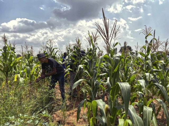 farming